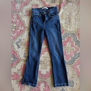 AYR Superba Denim High Rise Straight Leg Ankle Jeans, Superba, 29